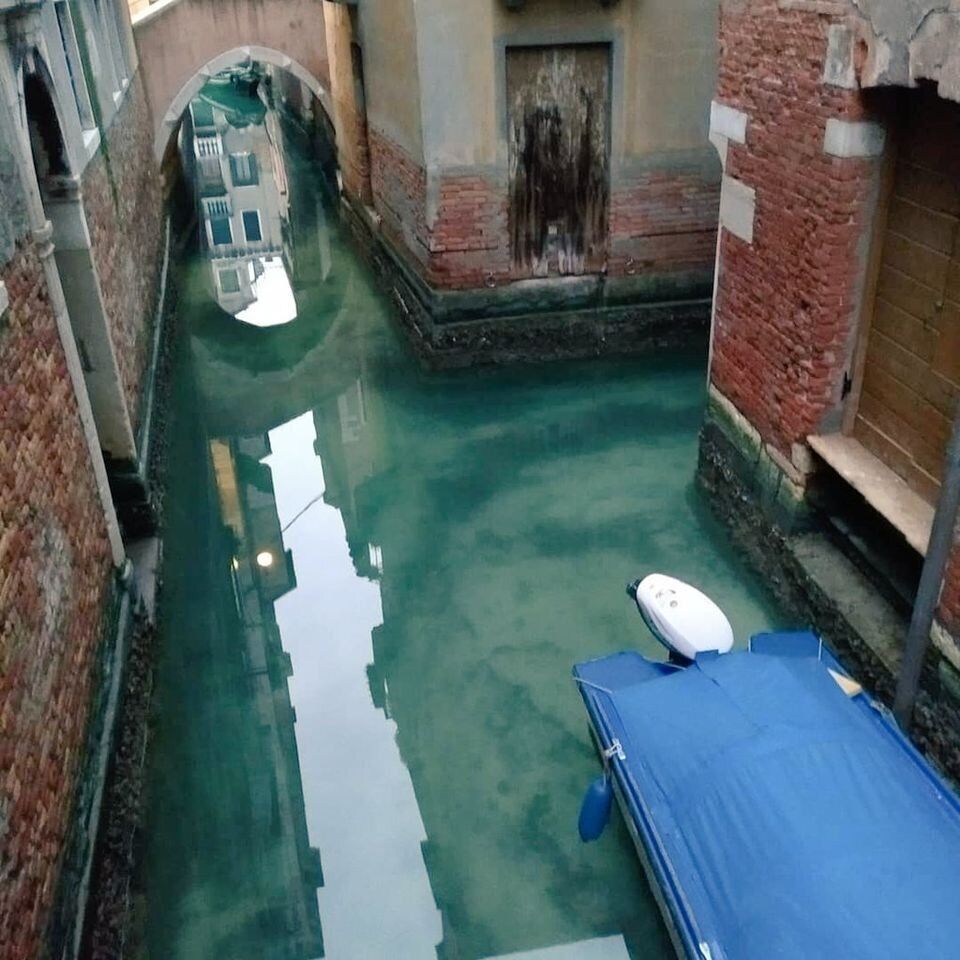 В Венеции вода в каналах стала прозрачной во время карантина