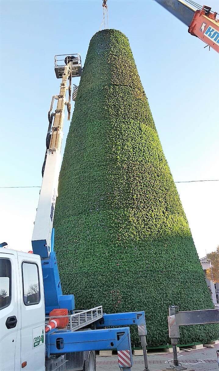 Елка в Симферополе