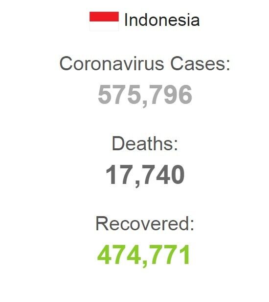 Індонезія почне масову вакцинацію від COVID-19 китайським препаратом
