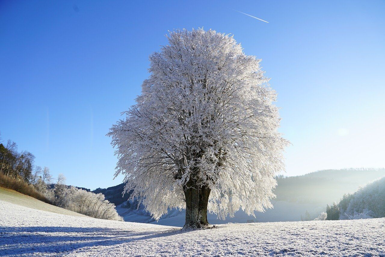 Много снега на Юрия – к маю все растает и зарастет травой