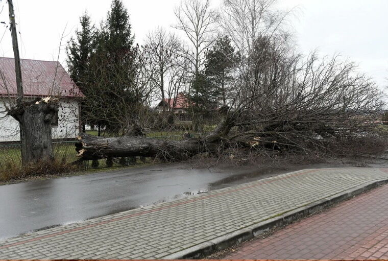 Последствия урагана "Сабина" в Польше