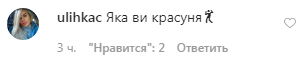 Комментарии пользователей сети