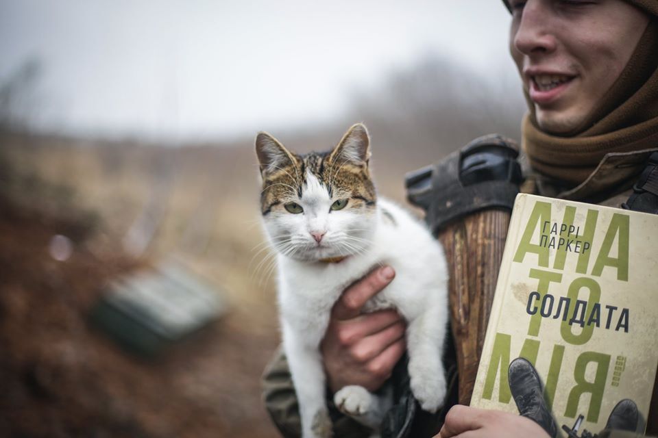 Украинские военные с котами