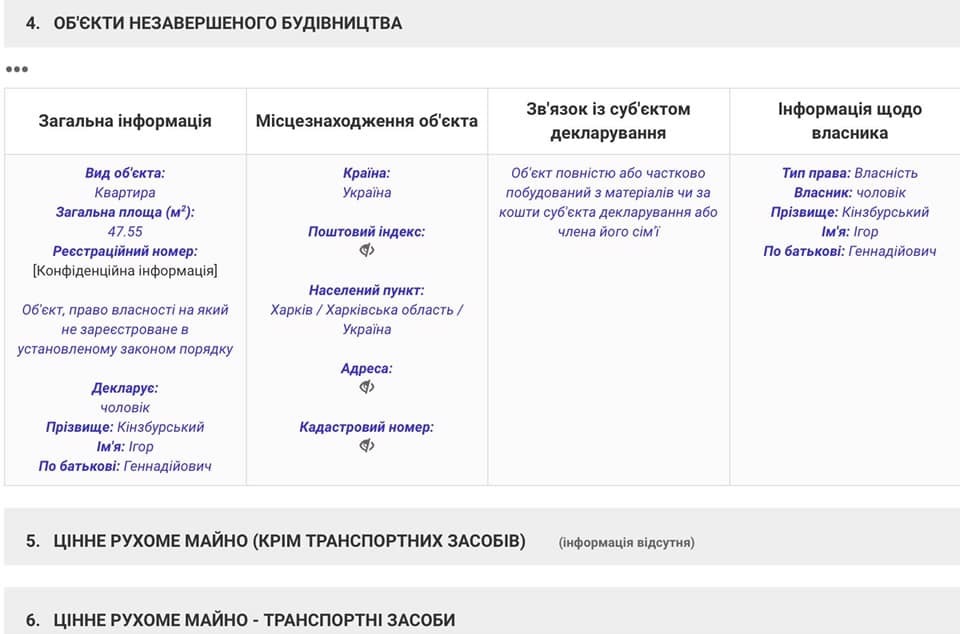 Декларація Вікторії Кінзбурської