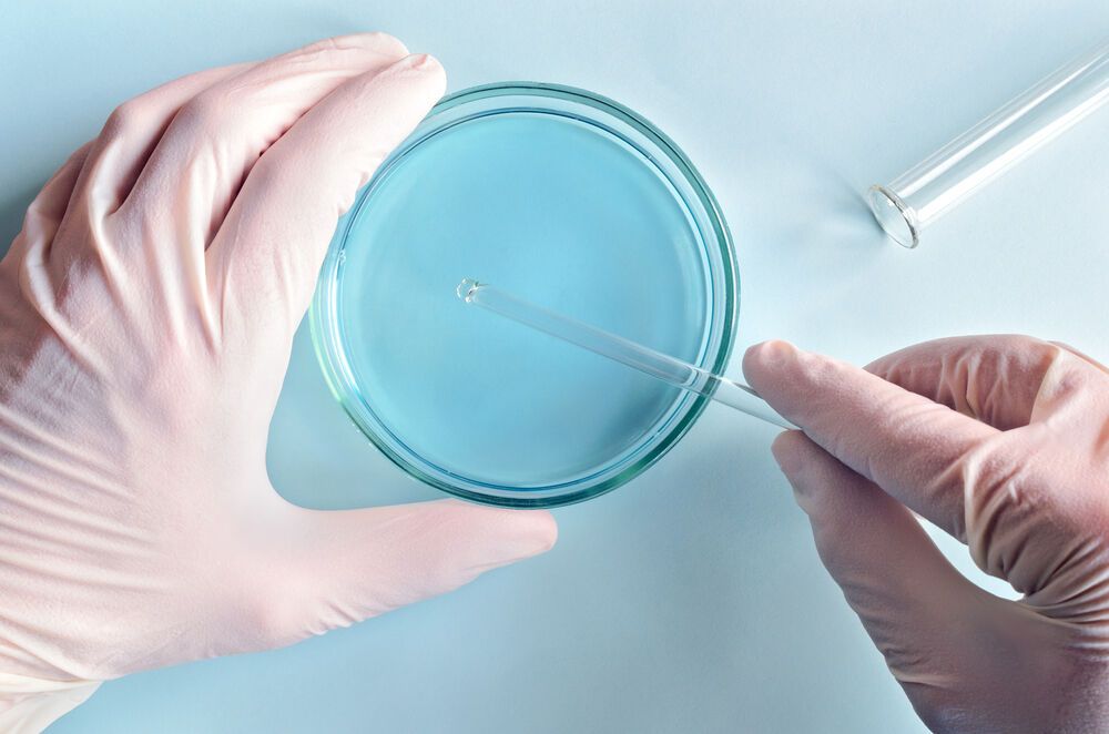 Донорство яйцеклеток и спермы