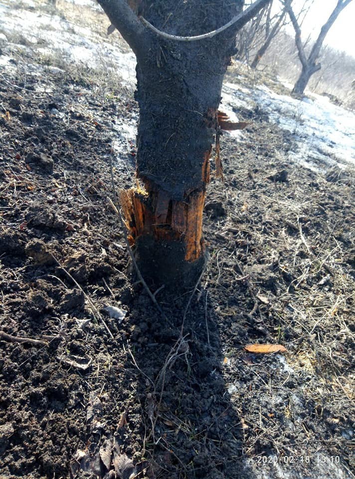 Крыли минами 2,5 часа: опубликованы кадры с места страшного боя на Луганщине