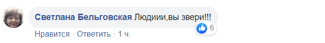 "Дикі люди!" Під Дніпром жорстоко вбили і викинули десятки кажанів. Фото