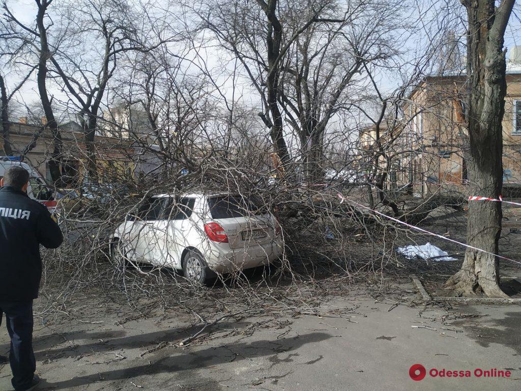 Упавшее дерево убило женщину в центре Одессы