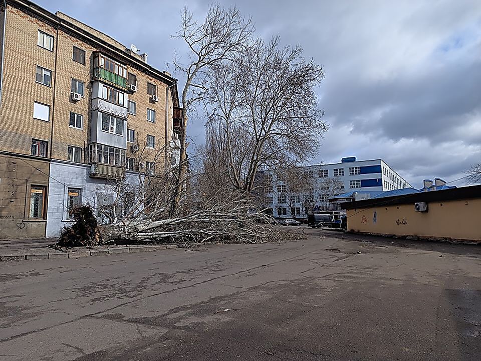 Ураганний вітер у Миколаєві