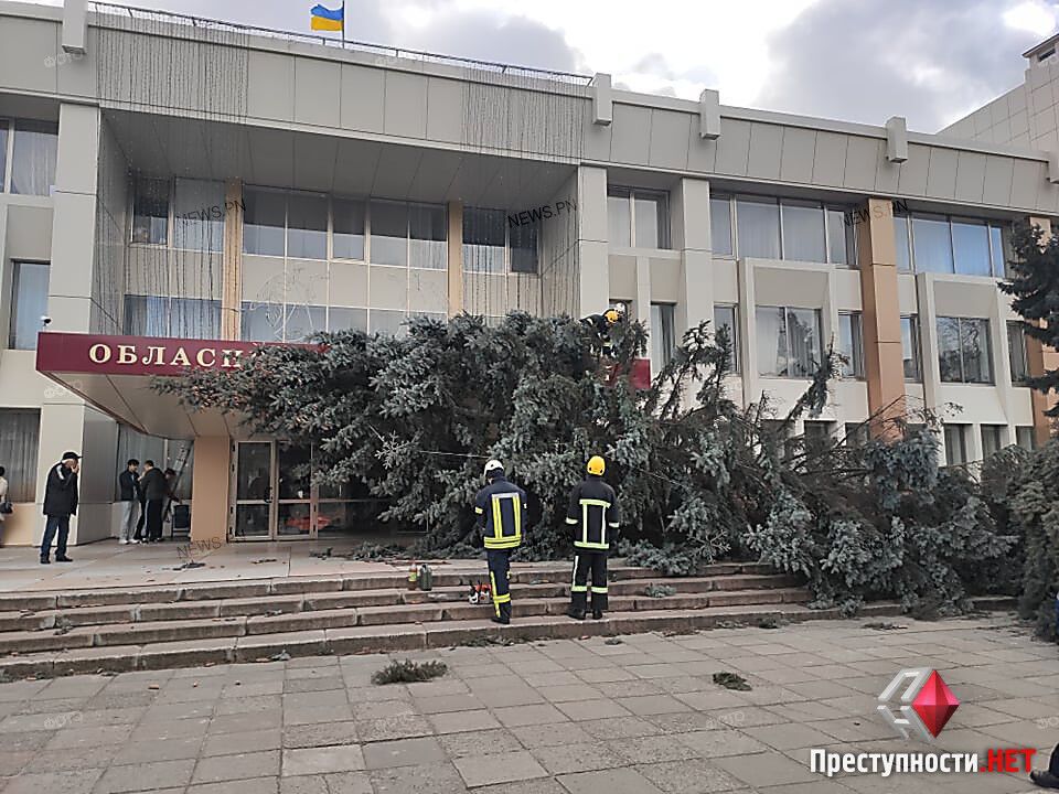 Деревья повалило у здания областного Дворца культуры