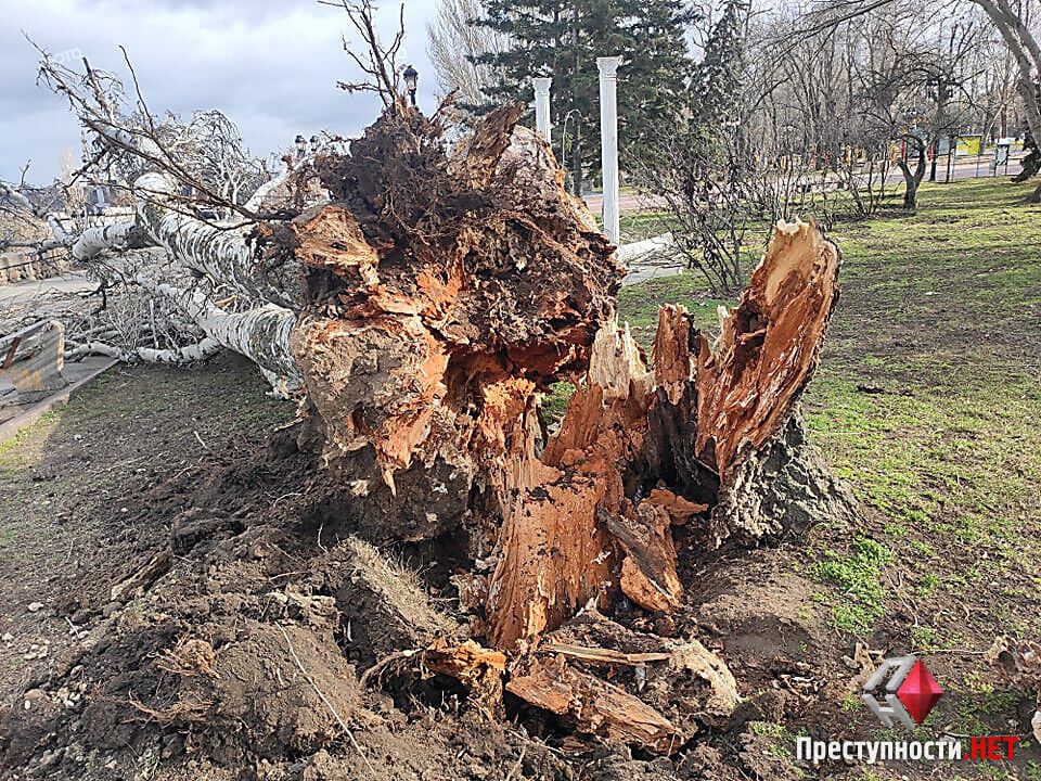 Поваленные деревья в Николаеве