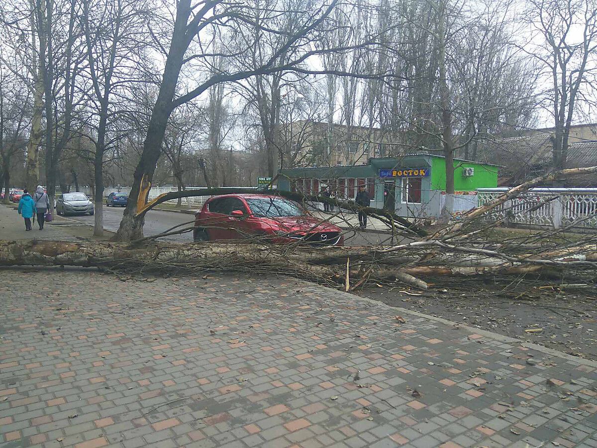 Повалені дерева в Миколаєві