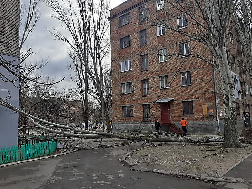 Поваленные деревья в Николаеве