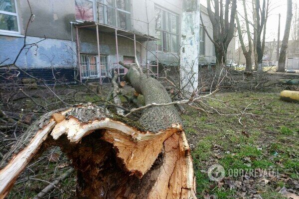 Последствия урагана в Одессе 24 февраля