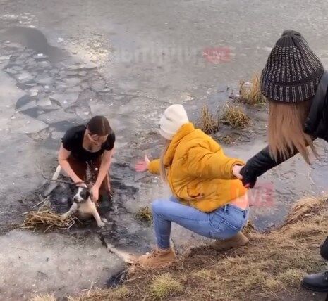 Женщина спасла собаку из ледяной воды