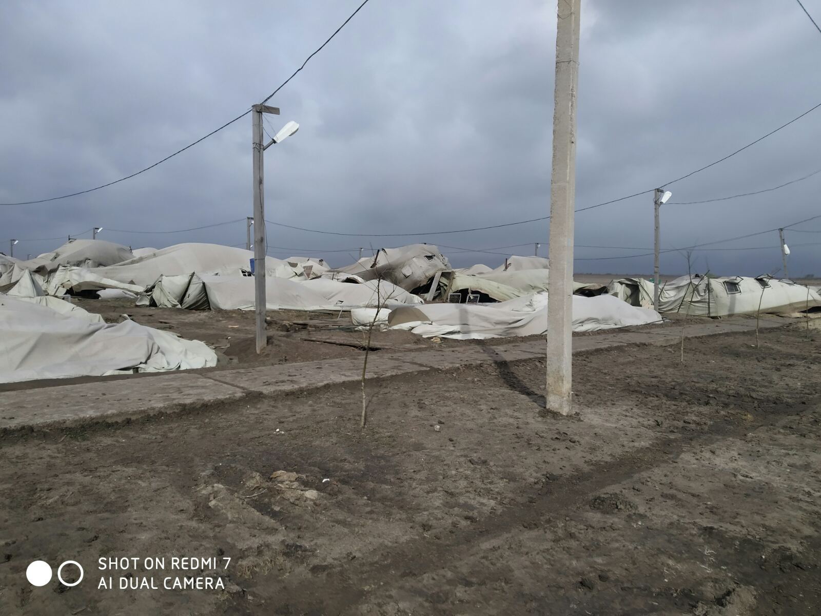 В Украине разбушевался ураган: выяснились масштабные последствия