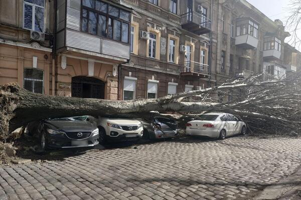 Последствия урагана в Одессе 24 февраля