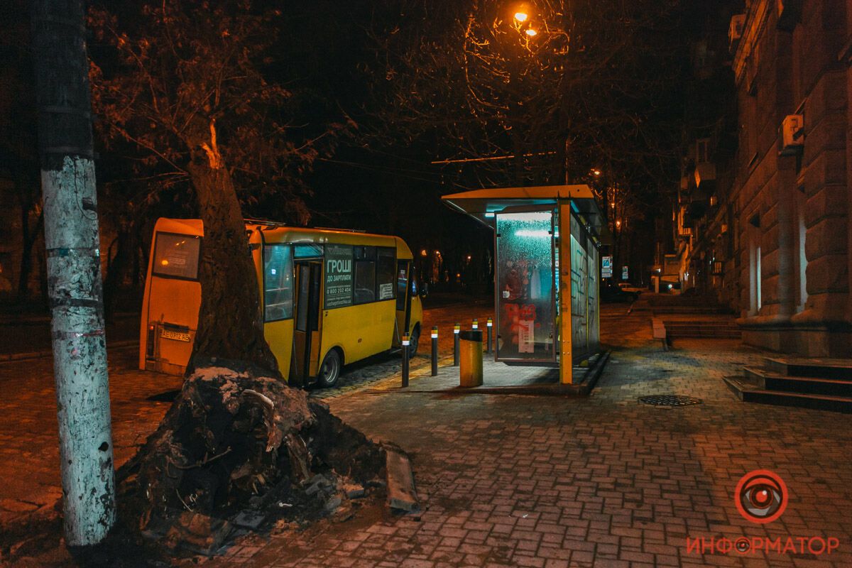 В Днепре на маршрутку с пассажирами рухнуло дерево