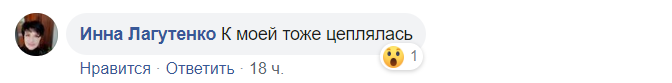 В Днепре медсестра-сектантка напала на детей посреди улицы. Фото. Афиша Днепра