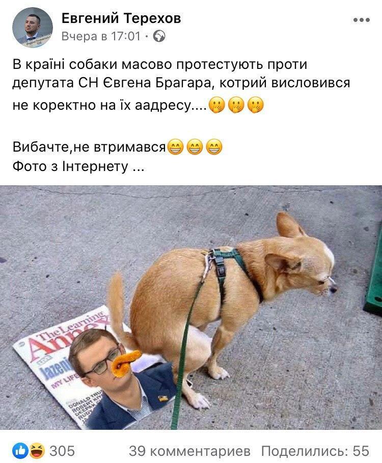 Протест собак