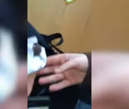 Мышь залезла в портфель ученику