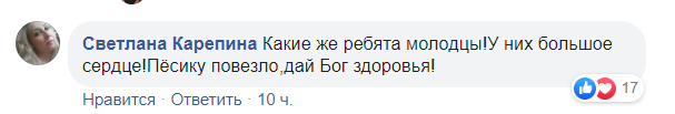 Украинцев до слез растрогало фото харьковского "трио с собакой"