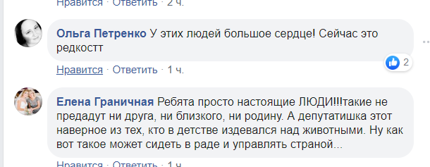 Украинцев до слез растрогало фото харьковского "трио с собакой"