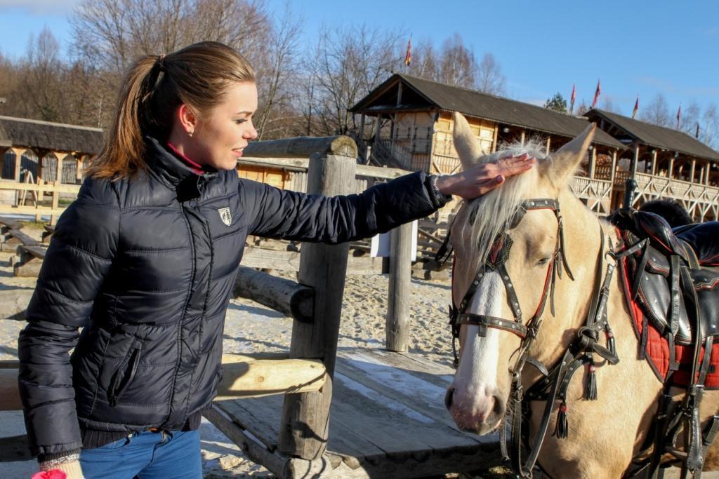 На Киевщине пройдет конное шоу с мастер-классами
