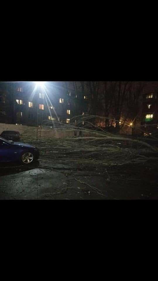 Вночі 6 лютого в Одесі повалило 48 дерев