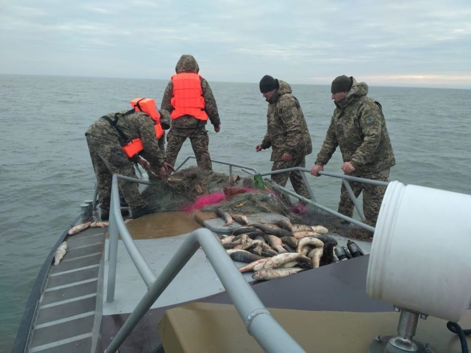 В Азовском море обнаружили сети браконьеров