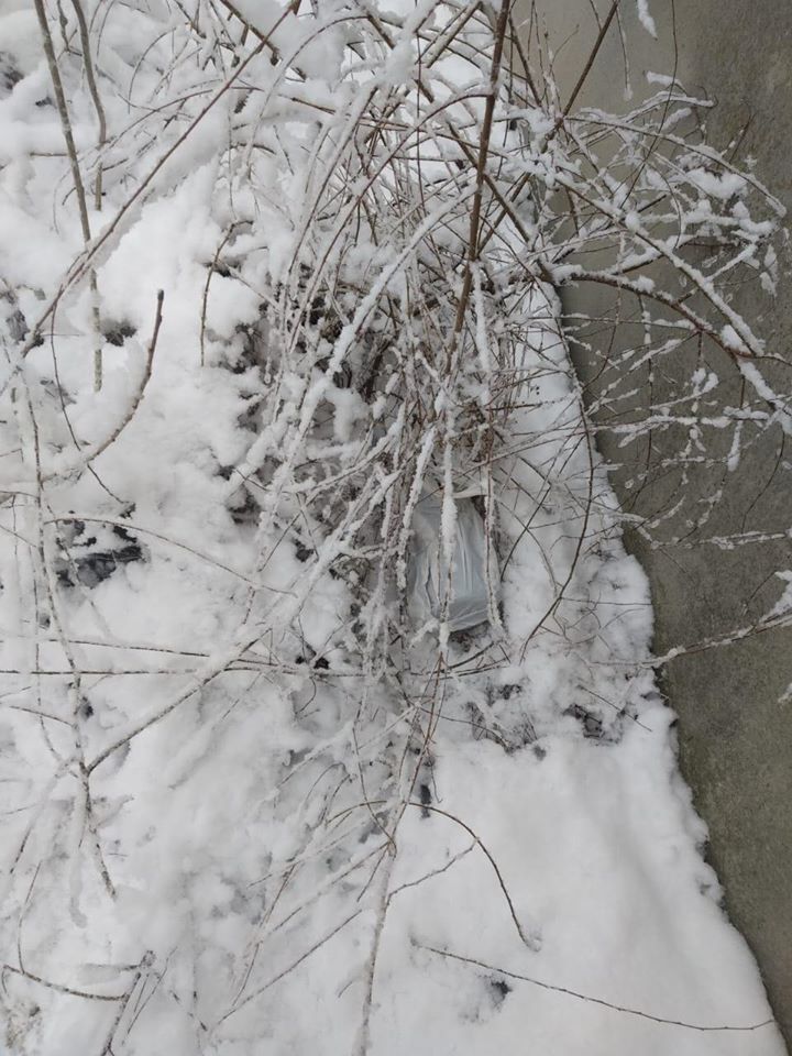 Под Славянском в кустах возле трассы обнаружили вражеский гранатомет РПГ-22