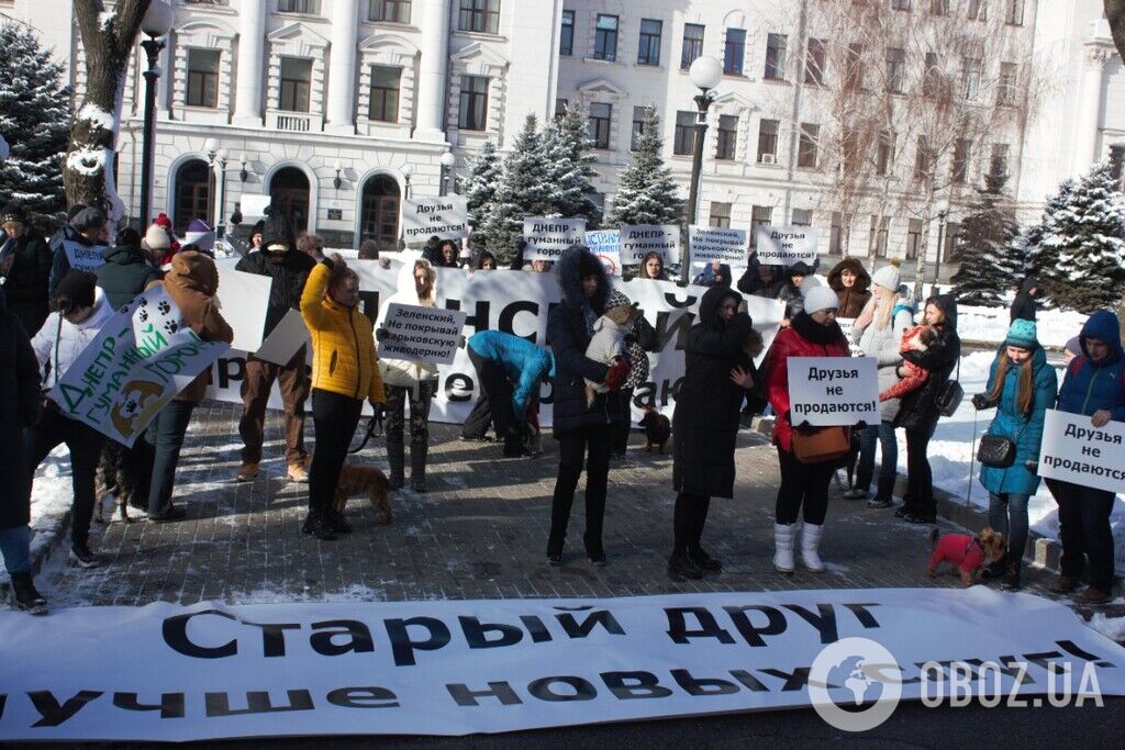 "Друзів не продаємо!" У Дніпрі влаштували "пухнастий" протест проти ініціативи "слуги" Брагаря