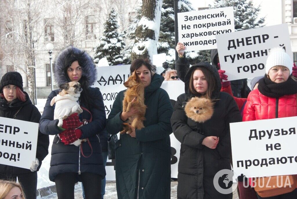 "Друзів не продаємо!" У Дніпрі влаштували "пухнастий" протест проти ініціативи "слуги" Брагаря