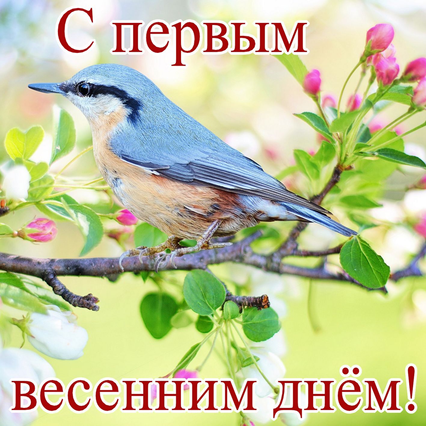 Перший день весни 2020: оригінальні привітання та листівки