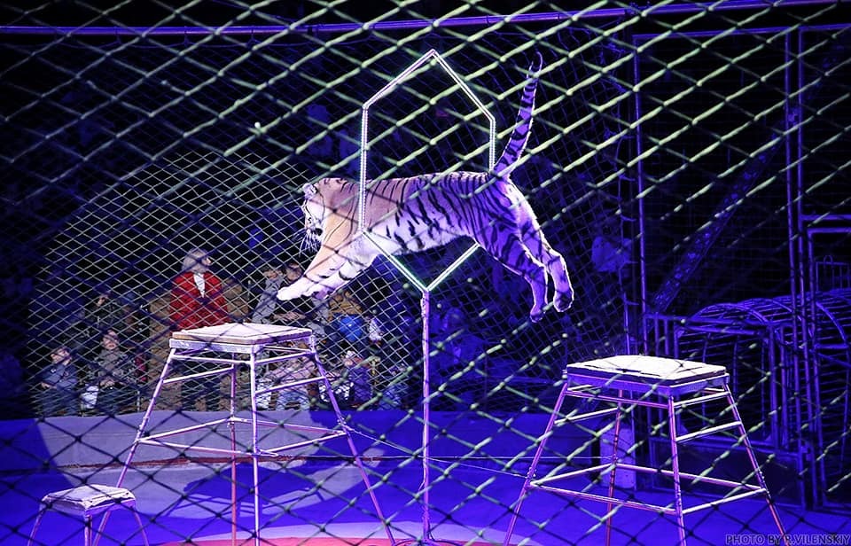 Пурим 2020 в Киеве