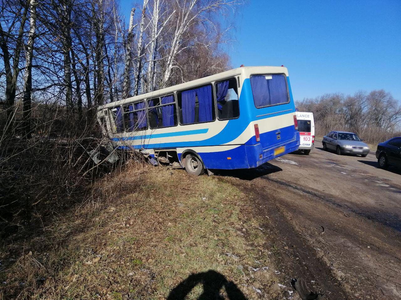 Зіткнулися бус і рейсовий автобус