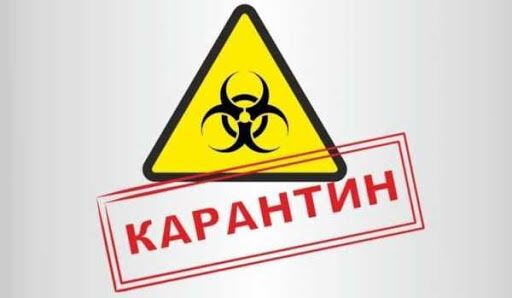 В Украине хотят ужесточить наказание за нарушение карантина: почему это нужно делать