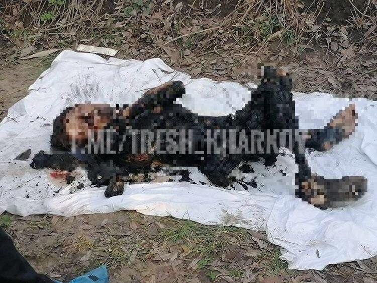 В Харькове нашли обгоревшее тело молодой женщины с крестиком "Спаси и сохрани"
