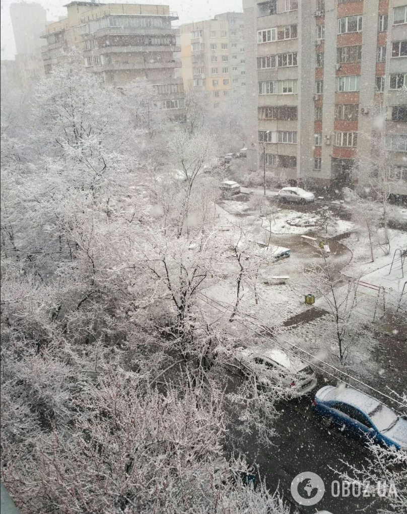 Снег в Киеве