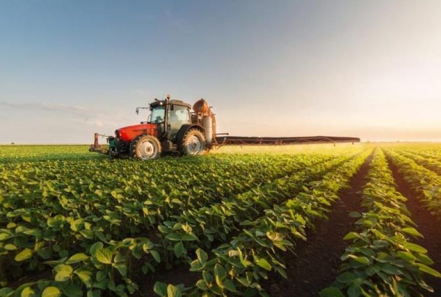 Украина из-за карантина может потерять треть урожая: фермеры предупредили о масштабных проблемах