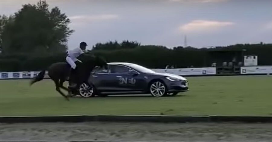 Гонка Tesla Model S и лошади