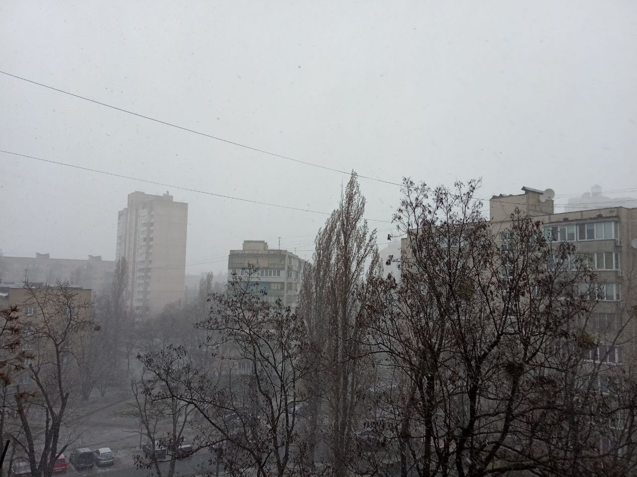 В Киеве в последний день марта пошел снег