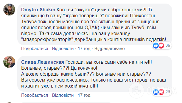 В Черкассах подрядчик срубил многолетние голубые елки в сквере