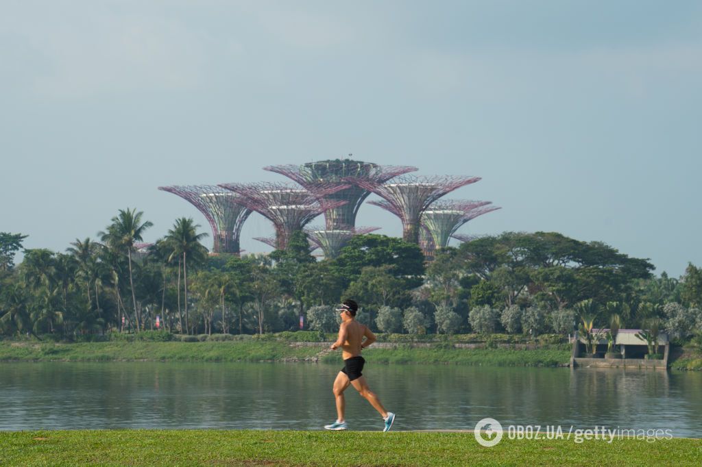 Сингапур начал строить гигантские "зеленые" станции для отказа от нефти