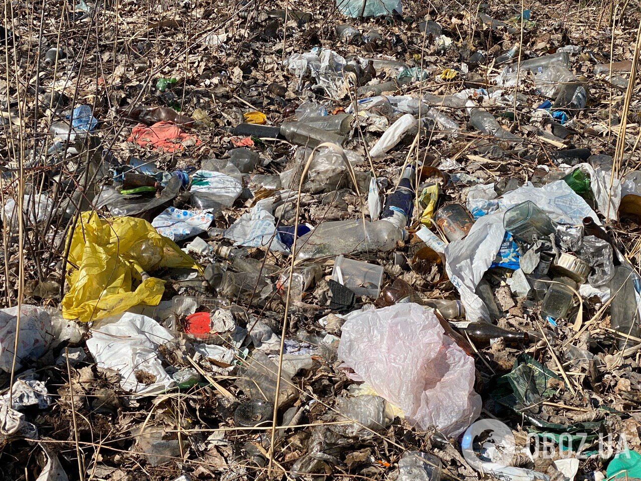 Грязь и мусор в Дарницком районе Киева