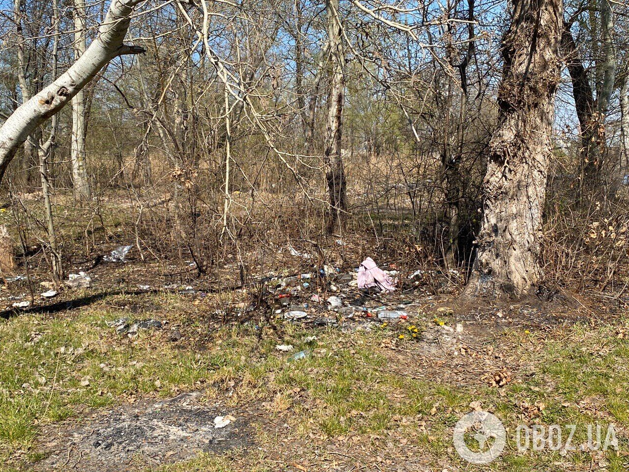 Грязь и мусор в Дарницком районе Киева