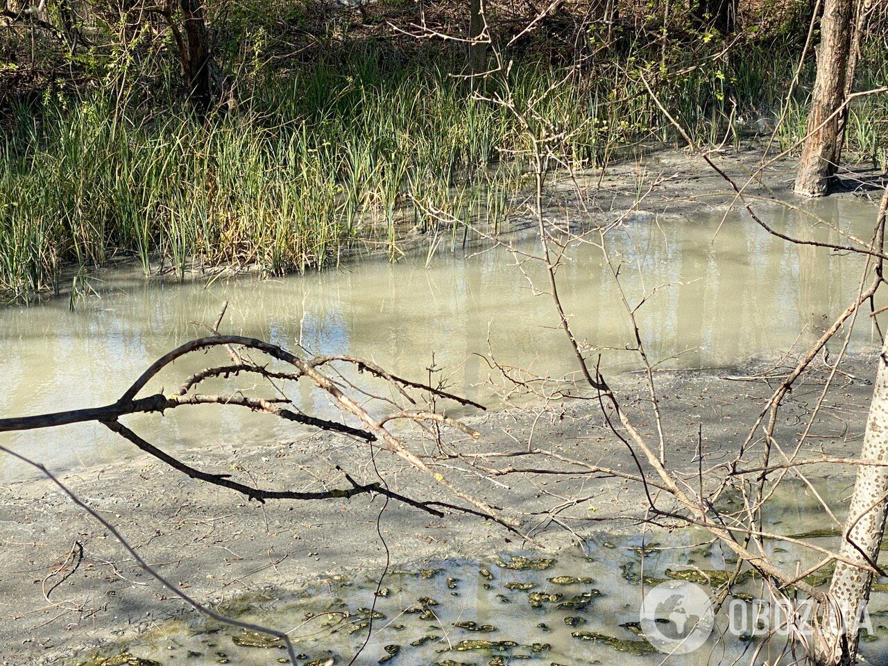 Грязь и мусор в Дарницком районе Киева