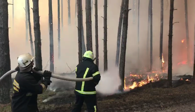 Лесные пожары в Житомирской области