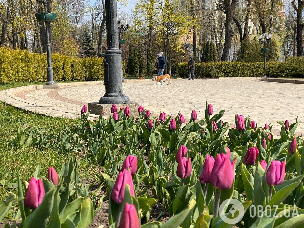 Карантин в парке Шевченко