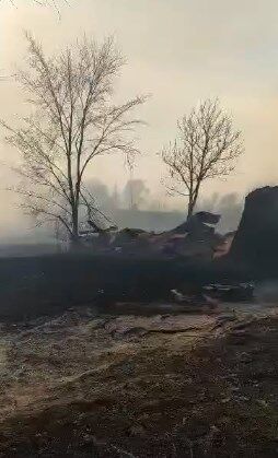 На Чернігівщині через підпал трави загорілося село: з'явилося відео